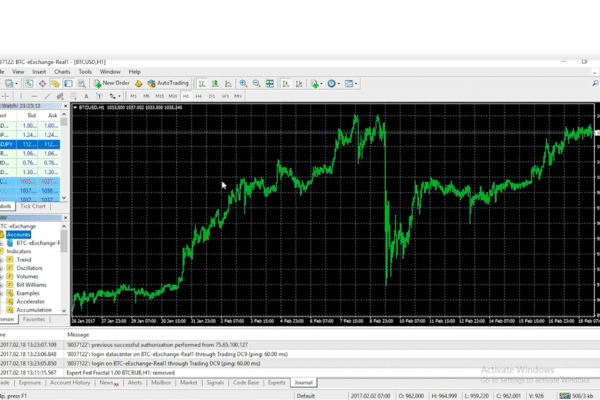 How Technical Analysis Software Functions in the Indian Stock Market